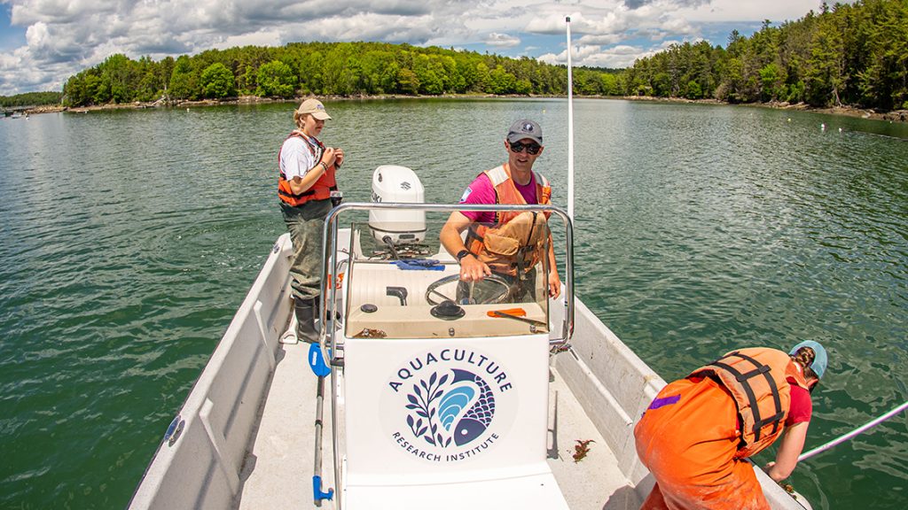 Three people aboard a boat in the Darmariscotta River.