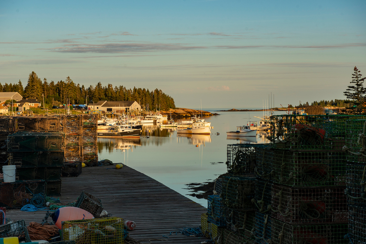 coastal scene in maine