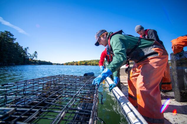 image of people hauling lobster traps