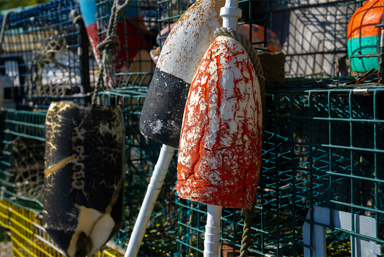 A photo of colored buoys