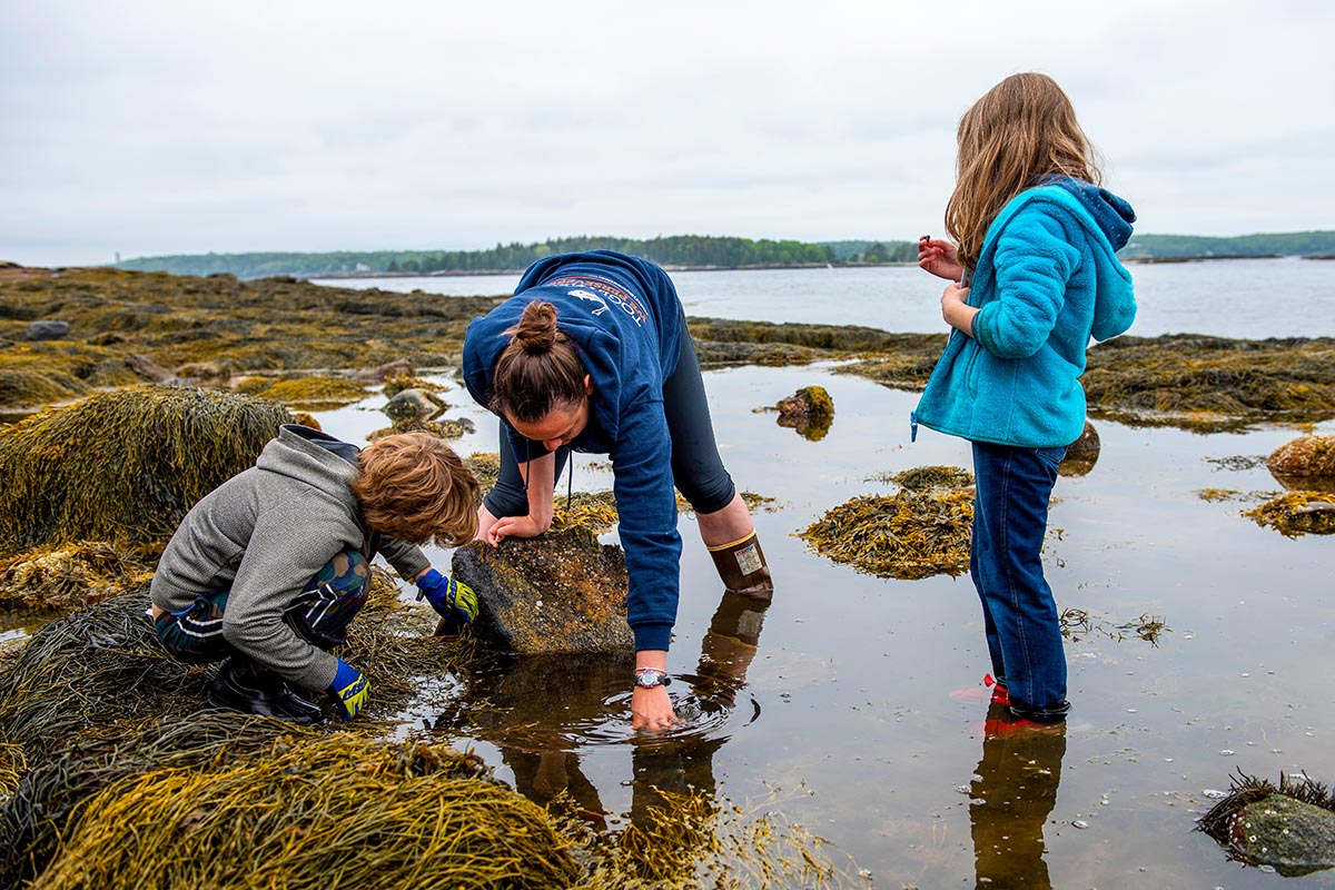 A photo of elementary school students on the coast at a field trip