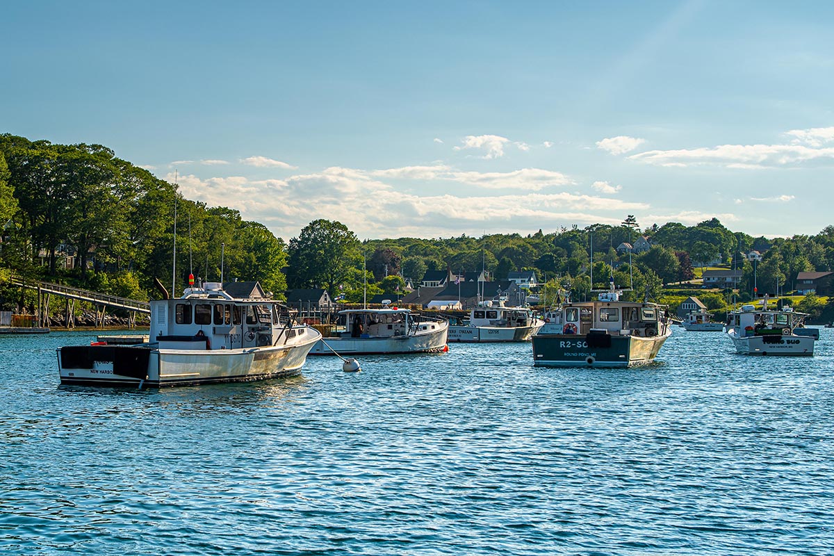 A photo of a harbor filled with boats on a sunny summer day